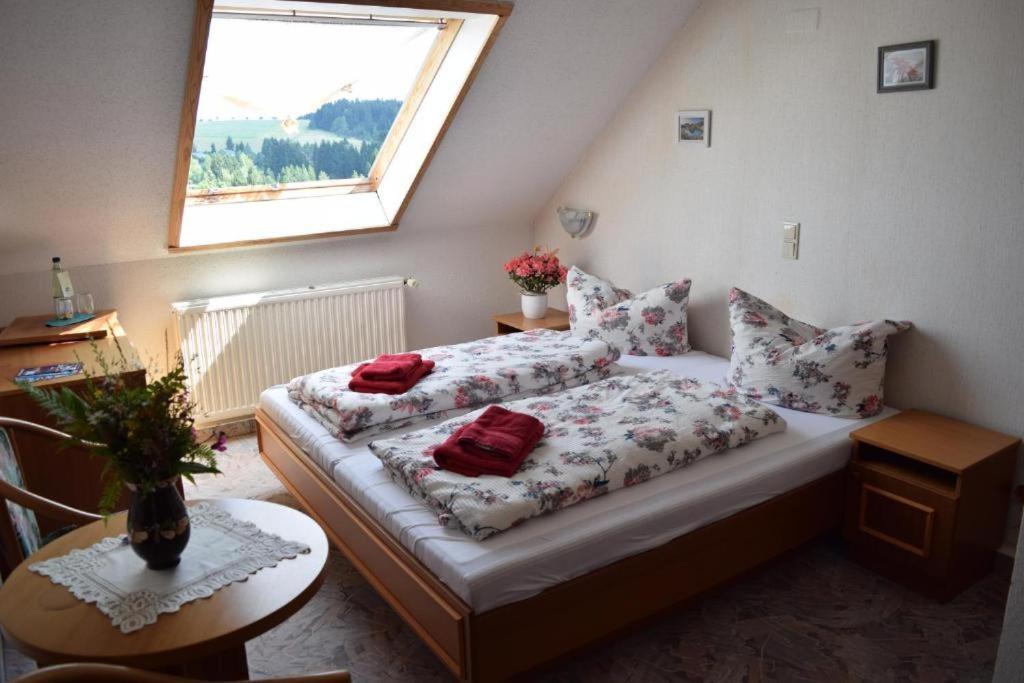 Hotel Carola Schönheide Buitenkant foto
